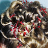 Hochsteckfrisuren Bild 13